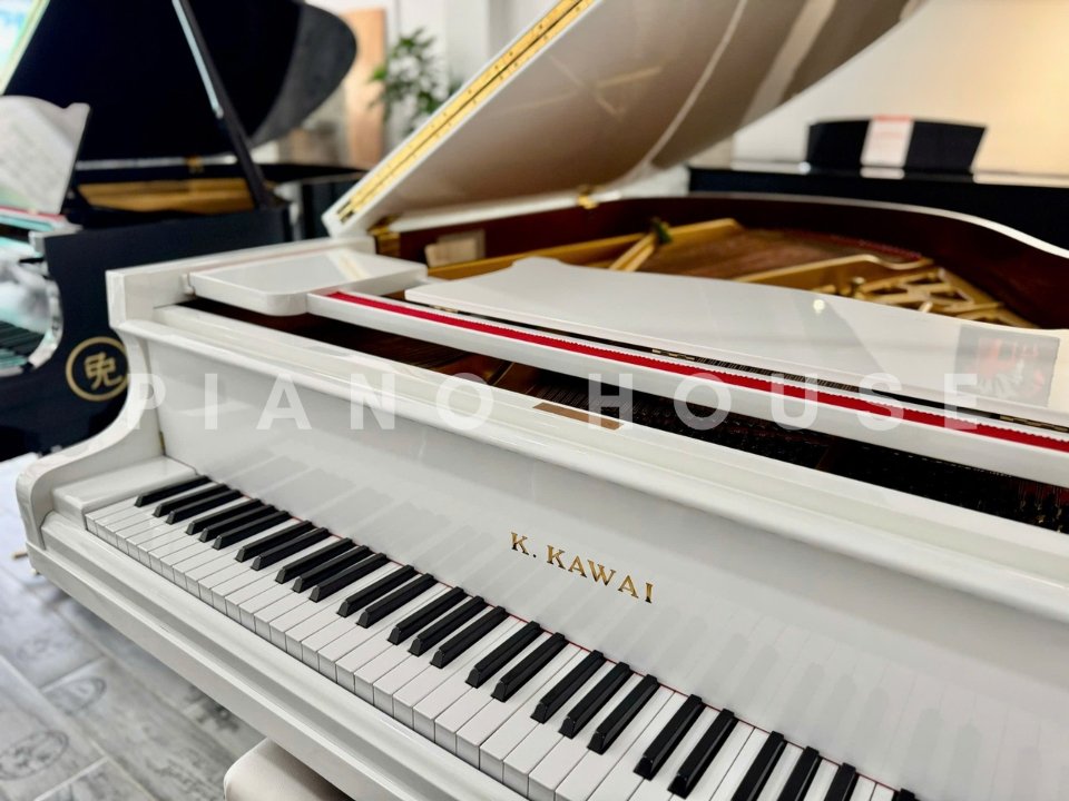 Hình ảnh chi tiết KAWAI No.500 góc chụp 7